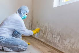 Professional Mold Removal & Remediation in Osceola, WI